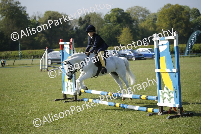 20250427-0294 - Class 12 - Rookie Jumping 40cm