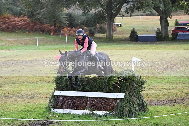 WJ6_1877 - 80cm Cam 1 Time 10:08 to 10:45