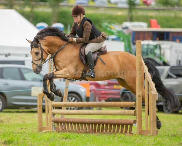 Dunblane show-453 - Dunblane and Doune Show Ring 1
