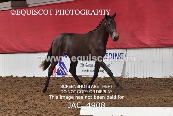 JAC_4908 - 4 River Dance, Take A Chance