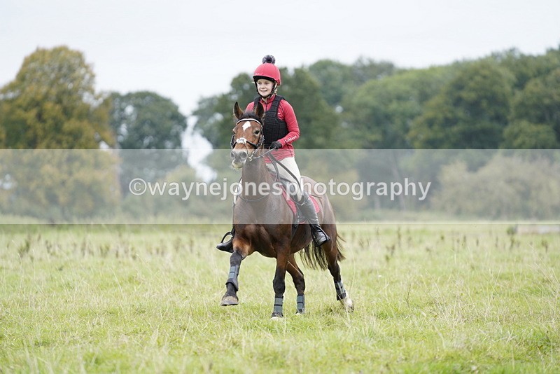 _DSC6587 - Time at Photographer 10:13 to 10:42