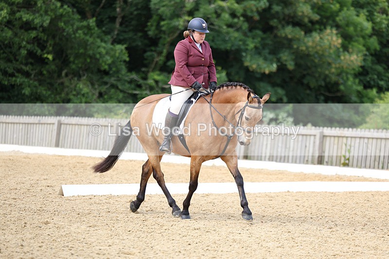 3E7A9102 - Class 2: Intro 1 2024 Section B