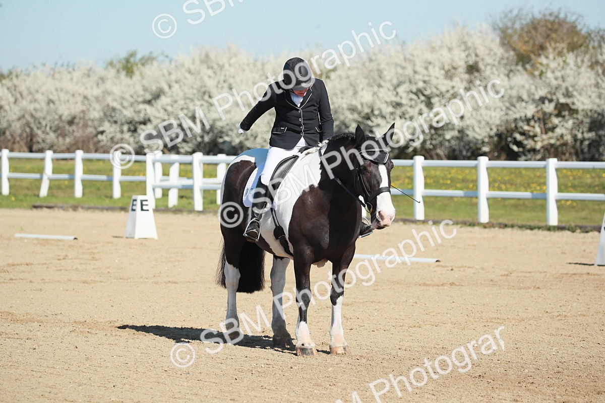 SJ3_0210 - Class 2 - P5