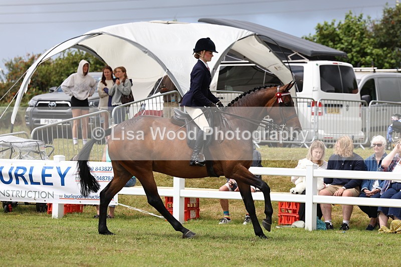 3E7A0879 - Class 8: Open Riding Horse/Hack