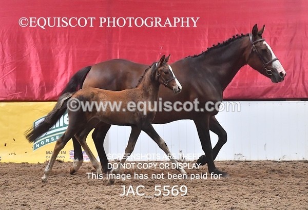 JAC_5569 - 13 Zi Real McCoy