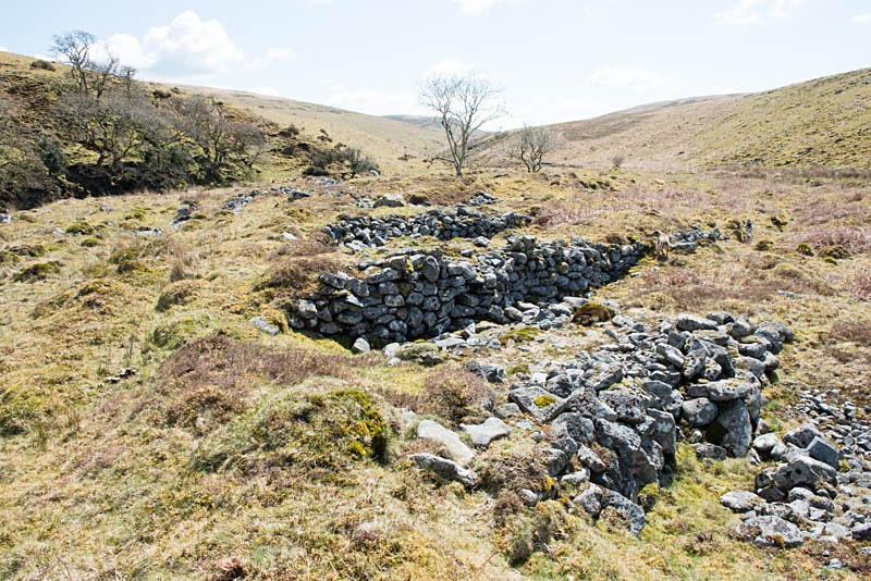 Streamworks - Rivers Erme / Yealm