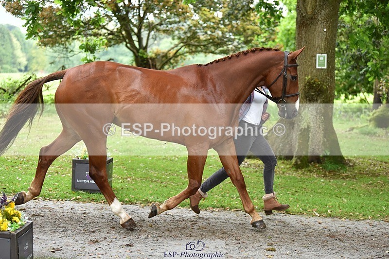 240522-171946-01535 - 269-EMERALD_KATIE-Isabelle_Cook