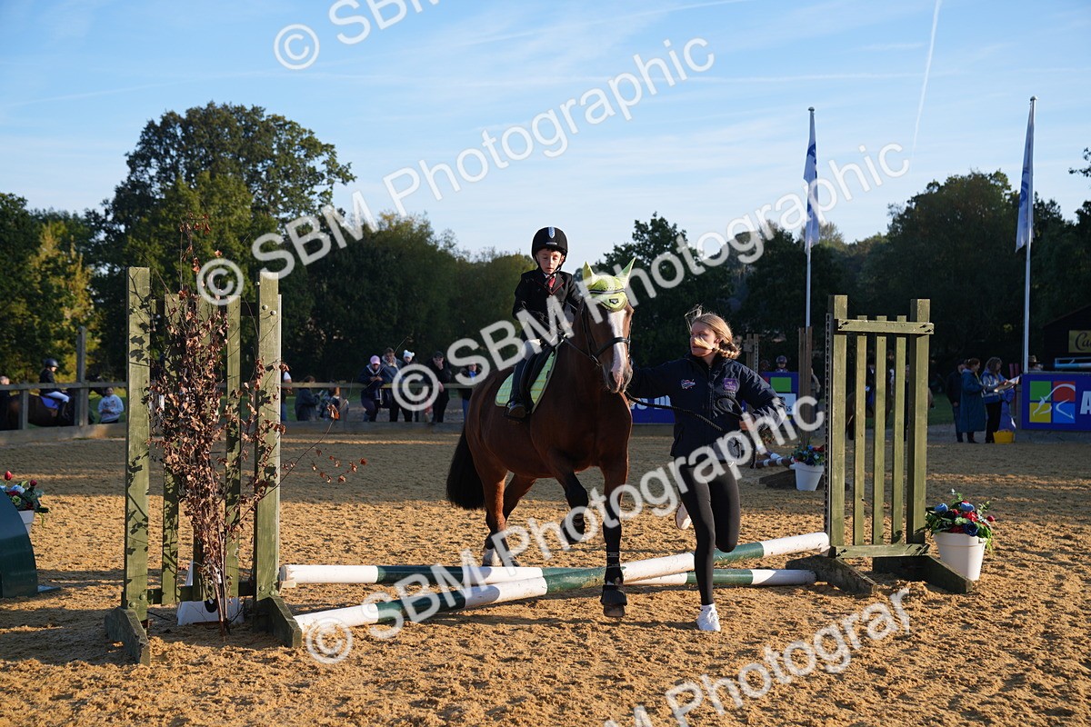 SBM_58922 - J63 - Minis Clear Round 30cm 40cm