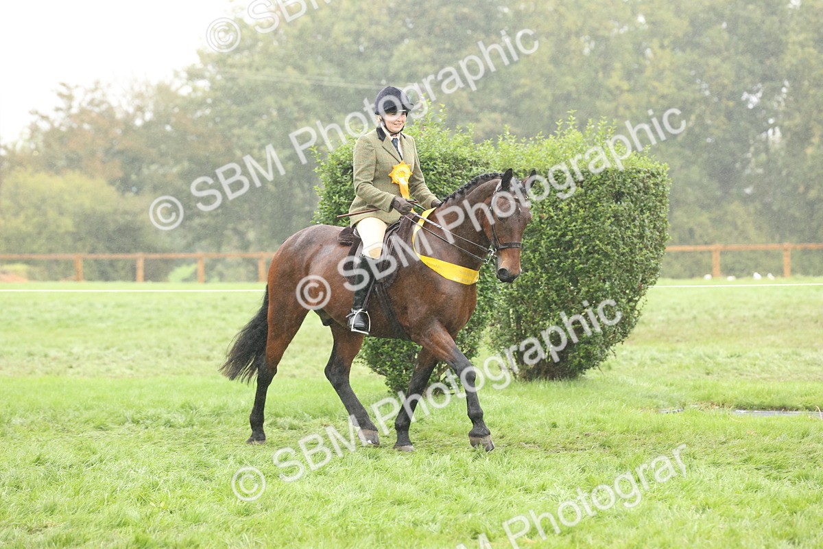 SBM_72903 - Ridden Horse Supreme Championship