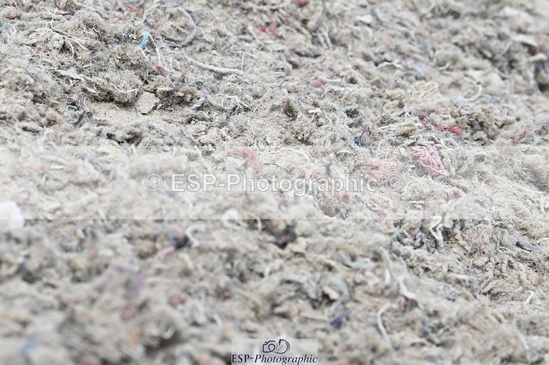 250621-143009-10639 - Cls 29 - Elementary 5, 14.10 to End