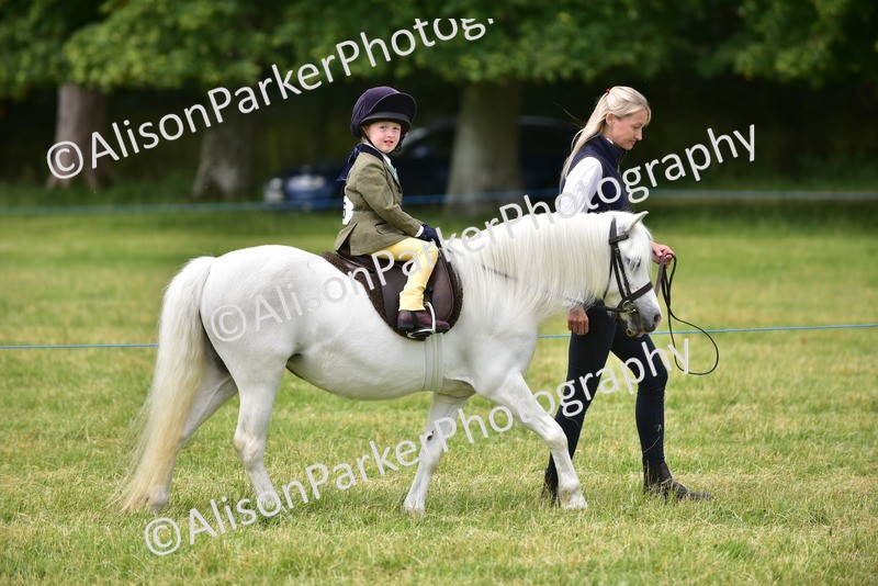 20260614-4180 - Class 17 - Best Mane and Tail