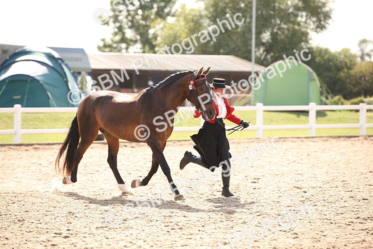 SBM_07392 - Class 26 IH Foreign Breeds -Part bred