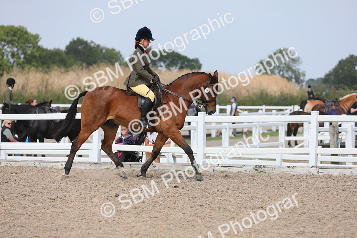 SBM_15575 - Class 311 Ridden Show Pony/ Show Hunter Pony