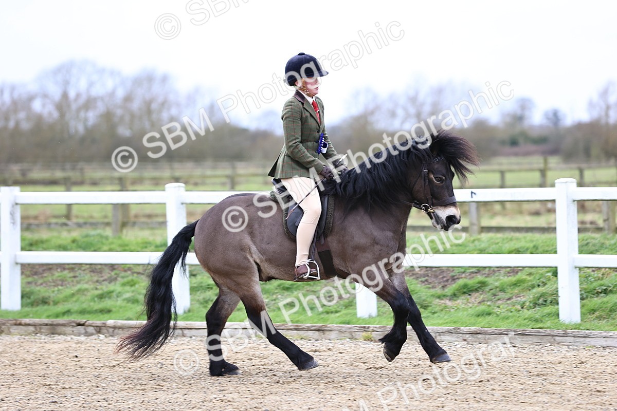 SBM_006872 - Class 29 - 30 - M&M Pure Novice Small-Large Breeds