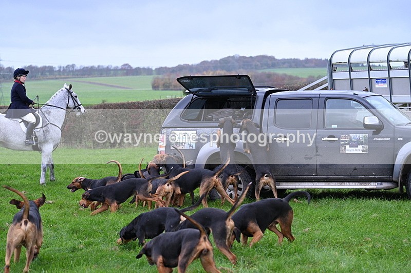 WJ7_8873 - Meet Staff & Hounds