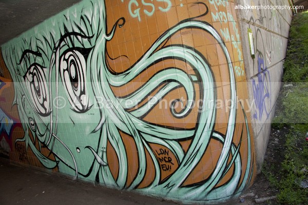 237 - Graffiti Gallery (16)