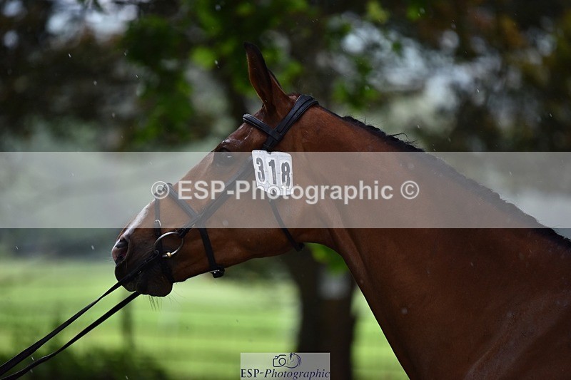 240522-151016-00135 - 318-LILO_TR-Marcio_Carvalho_Jorge