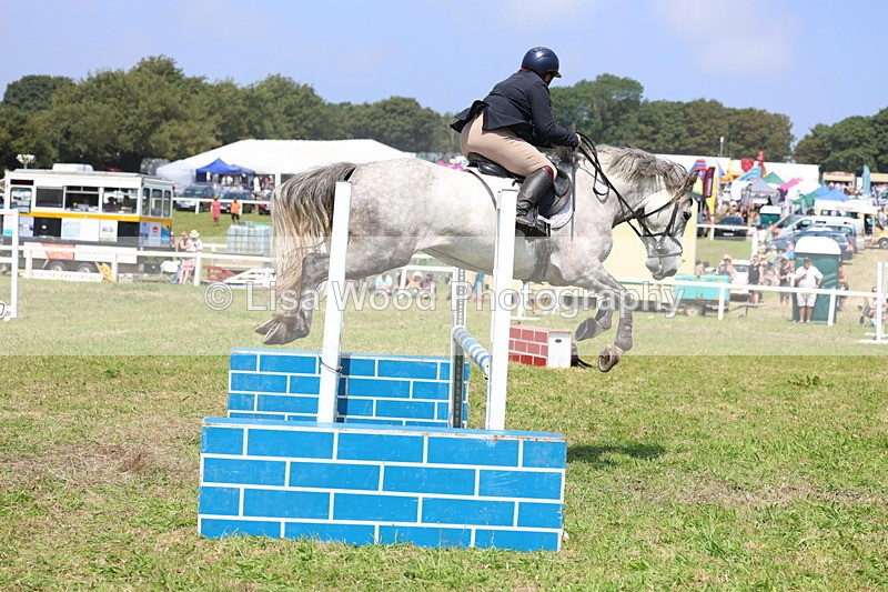 3E7A2924 - Class 7: Senior British Novice/90cm open