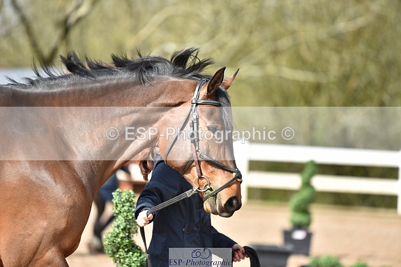 240417A-154430-00984 - 3pm to 4pm