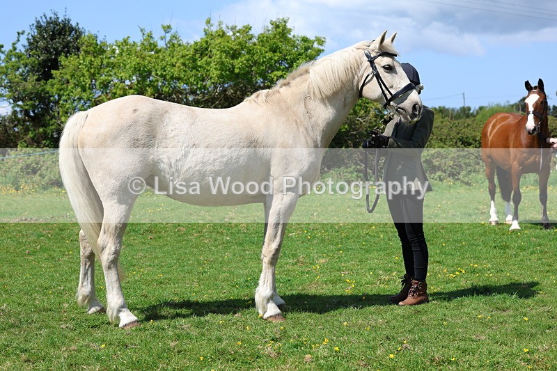 3E7A0346 - Class 19: Best Coloured in Hand