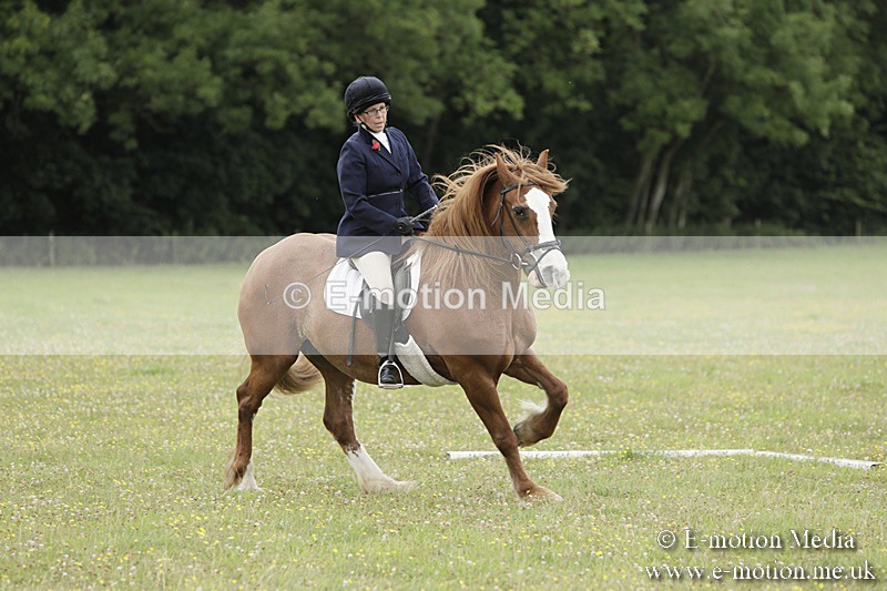 BVR160717-1236 - Class 2 Dressage 16/07/17