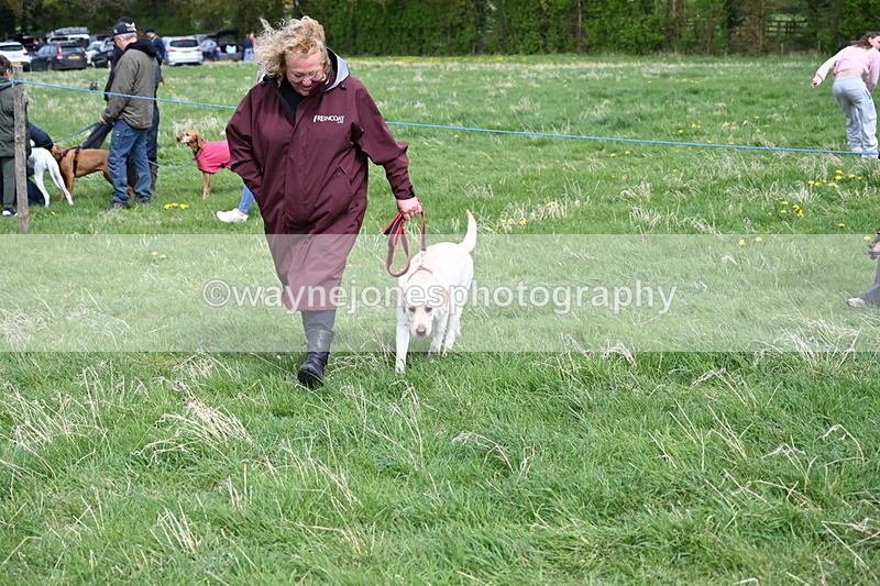 WJ6_8348 - Class 4 Prettiest Bitch