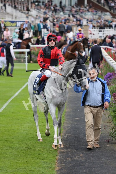 yr24092021r3-13 - Race 3 2.40pm WilliamHill.com Best Odds Guaranteed Stakes