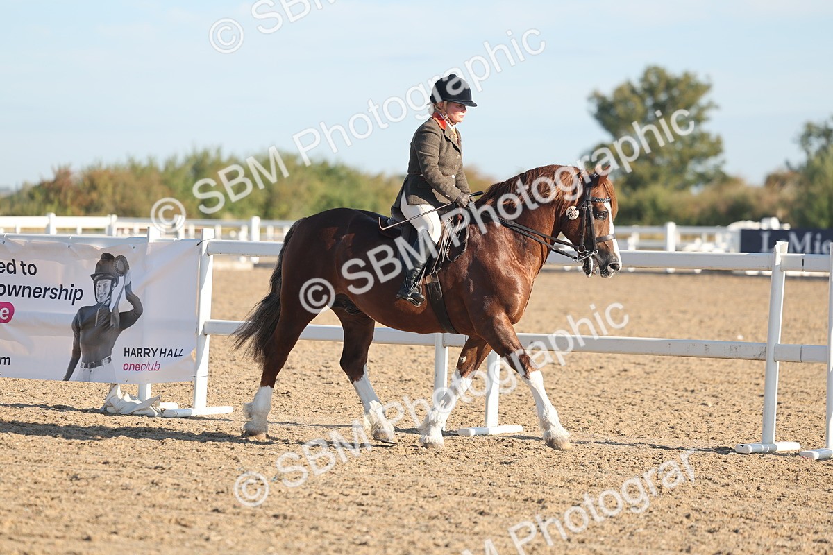 SBM_10953 - Class 302 - Ridden M&M Large Breeds