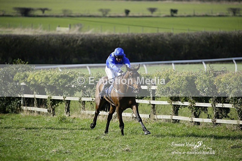 PtP 260222 97 - Kingston Blount Racing Club Point-to-Point 26/02/22