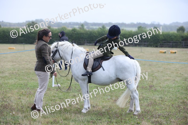 20250831-2420 - Class 16 - Family Pony