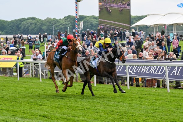 160524-Race 2-Point Lynas-5430 - Race 2 2.45pm Oakmere Homes Hambleton Handicap
