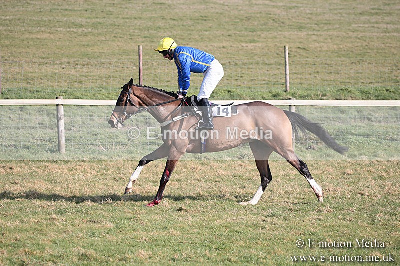 PtP 230219 249 - Vine & Craven Point-To-Point - Barbury 23/02/19