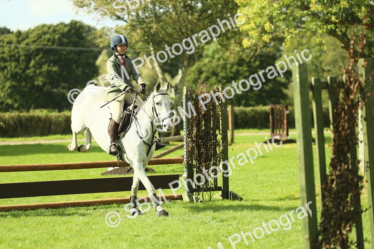SBM_47919 - S32 - Novice & Newcomers Working Hunter