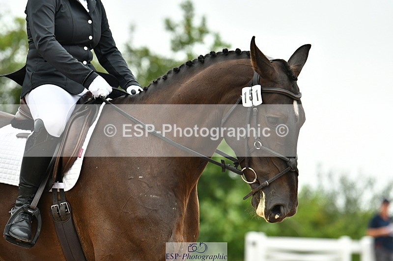 230708A-120635-02728 - Prelim 13