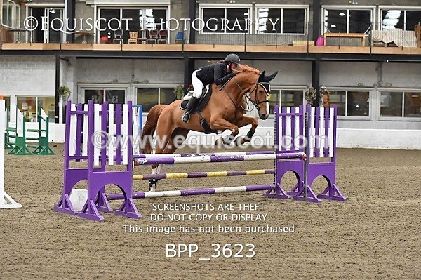 BPP_3623 - FRI CLASS 21 BR NOVICE/90CM