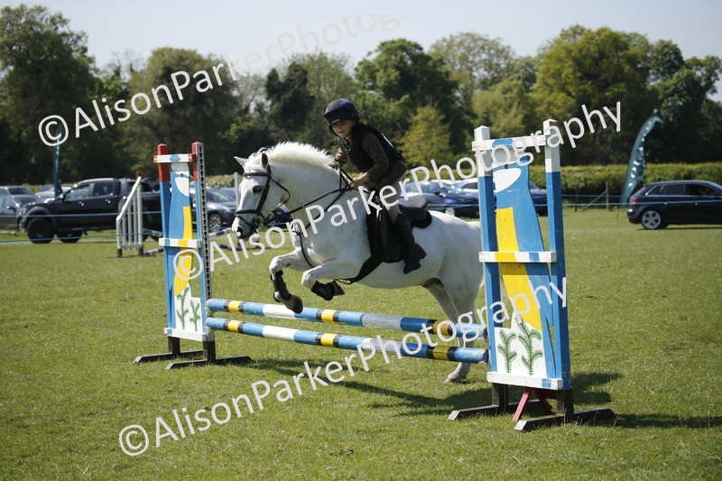 20250427-2218 - Class 13 - Novice Jumping 60cm
