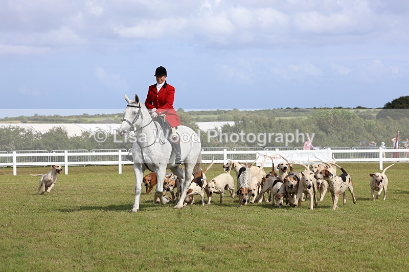 3E7A3368 - Parade of Hounds