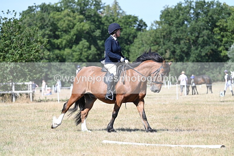 WJ7_0795 - Time 12:03 to 12:23