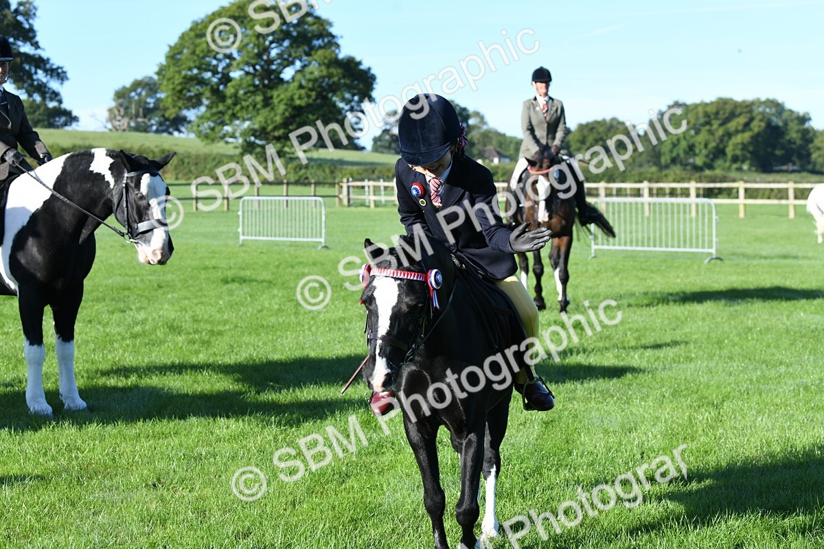 SBM_34077 - S16 - Condition & Turnout - Ridden