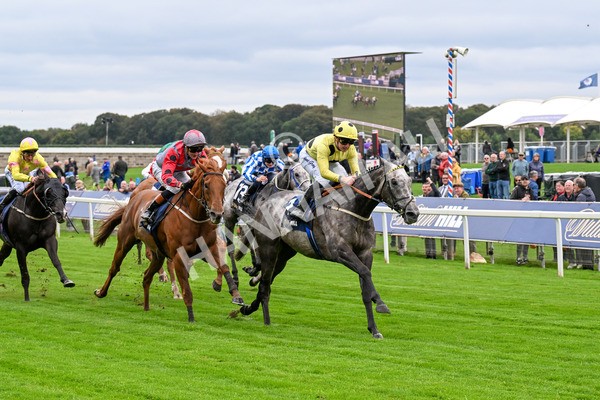 101025-Race 1-Ice Max-0056 - Race 1 William Hill Autumn Mile Handicap at York