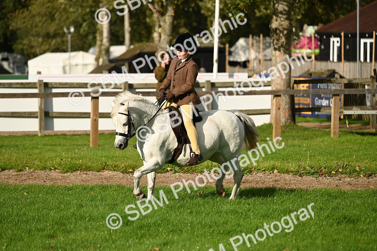 SBM_26646 - S7 - Novice & Newcomer Ridden Pony