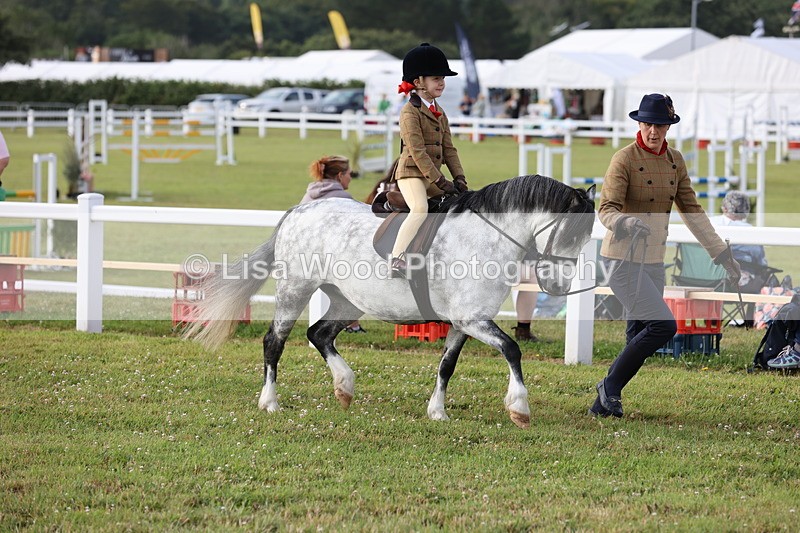 JPP_0302 - Class 14: Cornish Combination Leading Rein