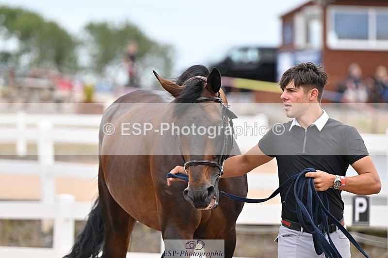 250716-160039-02342 - Trot Up 3.30 to 4.30