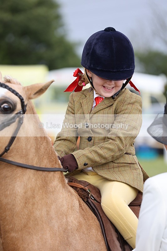 JPP_0352 - Class 14: Cornish Combination Leading Rein