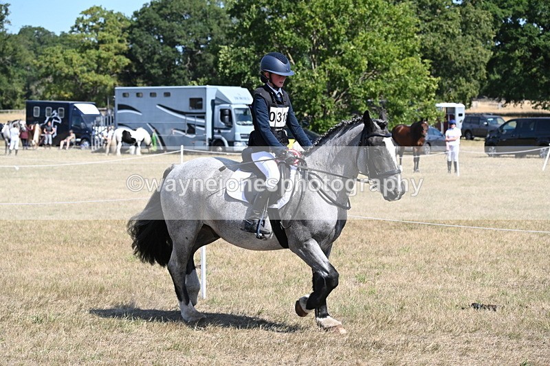 WJ6_9196 - Championship Classes 33-38