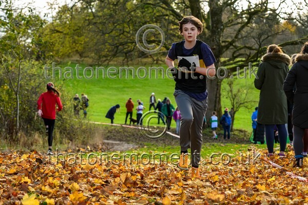 NatRel25-914453 - Young Male Set One