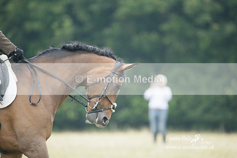 BVRC 030721 590 - Bourne Valley Riding Club Dressage 03/07/21