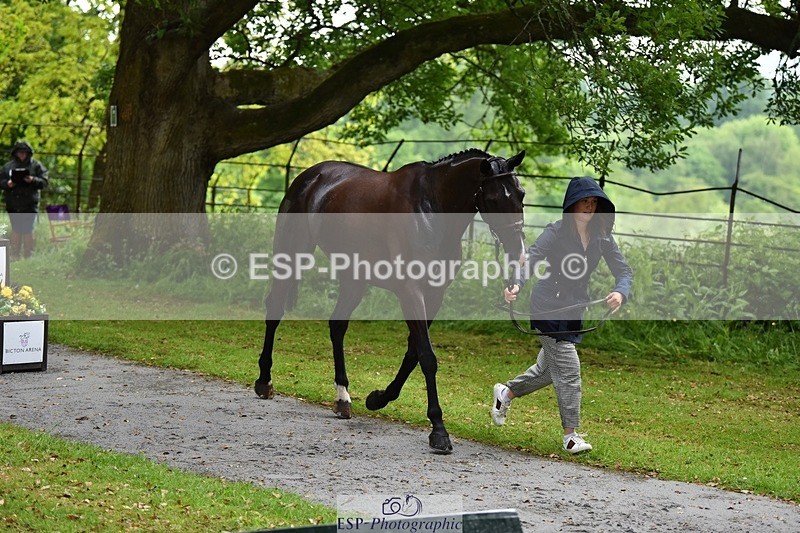 240522-152620-00341 - 353-BIKINI-Rose_De_Montmorency