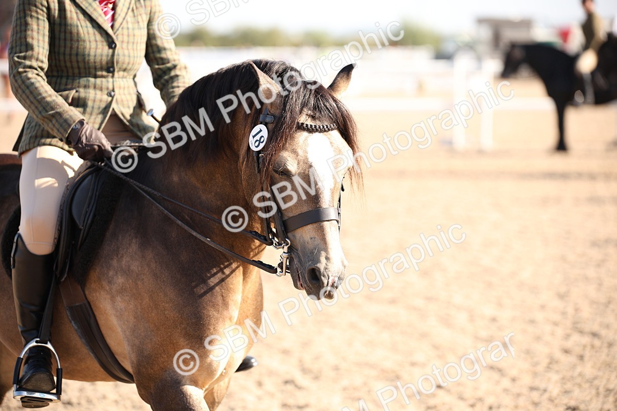 SBM_00747 - Class 14 Ridden M&M Wildcard