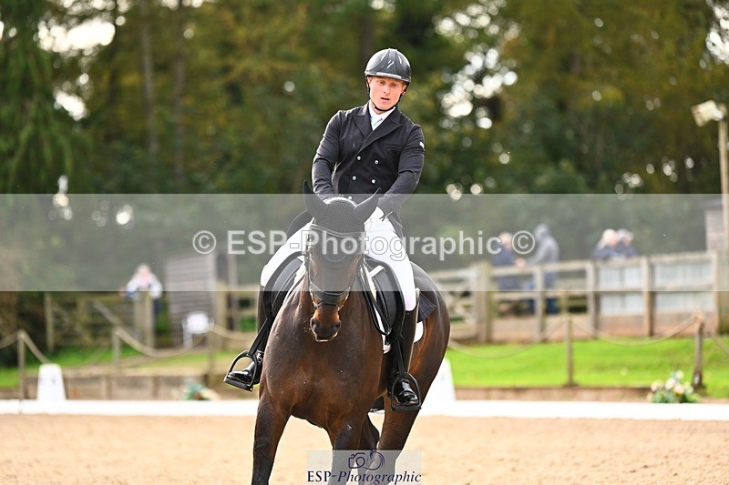 231021-135317-17731 - 351-MOONLIGHT.CHARMER-Aaron.Millar-DR